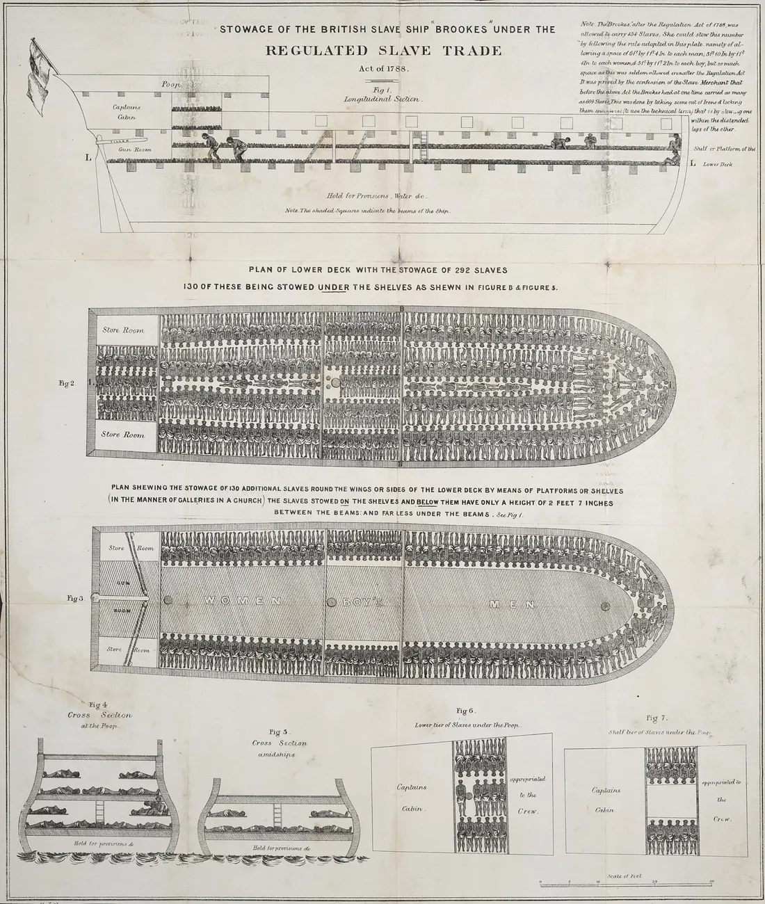 Slave ship Brookes diagram